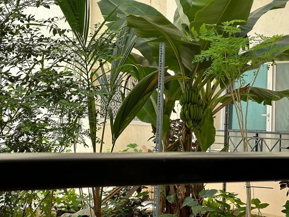 דובאי M-02 Center Residence Building דירה